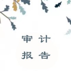2025年北京桥爱慈善基金会审计报告
