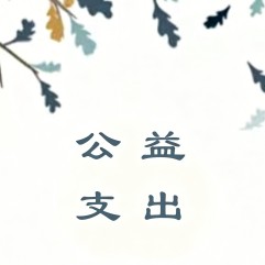 北京桥爱慈善基金会2024年公益支出